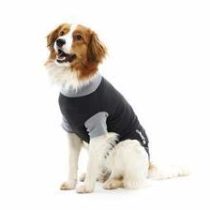 Buster Classic Body Suit for Dogs, Large, Black/Grey clear