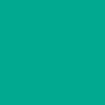5 Maxi Educational Notebooks, Green, 1 Strip, 5 Pieces 21 x 29.7 Green