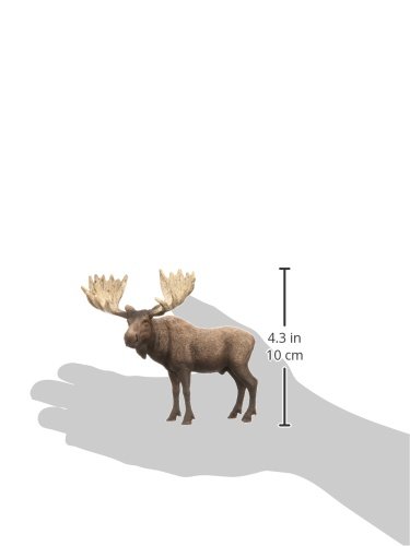 SCHLEICH 14781 Moose bull Wild Life Toy Figurine for children aged 3-8 Years, Brown, 4.1 inch - Image 2