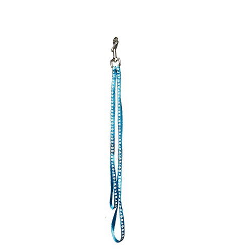 GROOM PROFESSIONAL Ajax Dog Grooming Loop Leash with Metal Slider, Strong Nylon Material, Comfortable & Secure