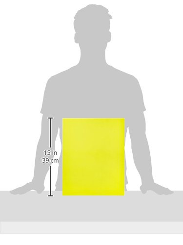 Crossbow Education: Monitor Overlay 19inch - Yellow - Image 3