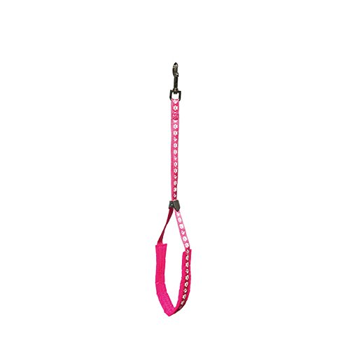 GROOM PROFESSIONAL Audie Padded Dog Grooming Loop Leash