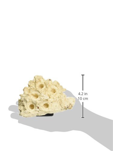 Tunze Coral Rack nano, beige - Image 2