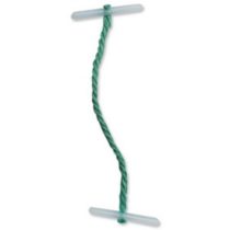 5 Star Treasury Tags Plastic-ended 76mm Green [Pack of 100]