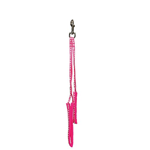 GROOM PROFESSIONAL Complete Body Restraint with Padding, Grooming Loop Leash for Dogs, Paw Print Design