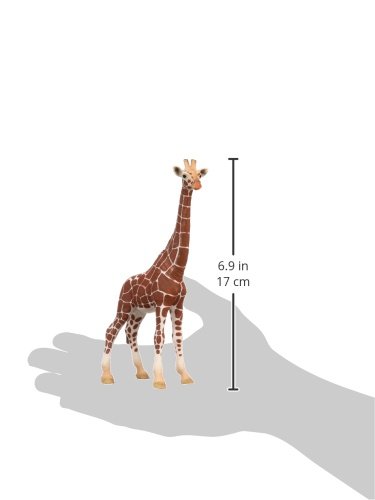 SCHLEICH Wild Life, Realistic 7" Giraffe Animal Toy, Durable Giraffe Figurine for Educational Screen-Free Play - Image 3