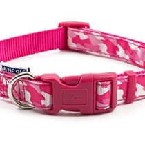 Ancol Combat Dog Collar, 30-50 cm