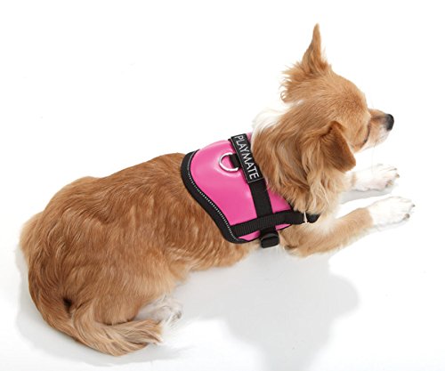 Karlie Teeny Weeny Harnesses, 26 to 35 cm, X-Small, Red/White, red-white, B: 15 mm - Image 3