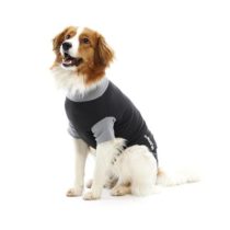 Buster Classic Body Suit for Dogs, Small, Black/Grey, clear