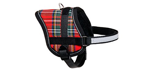 Karlie Teeny Weeny Harnesses, 26 to 35 cm, X-Small, Red/White, red-white, B: 15 mm