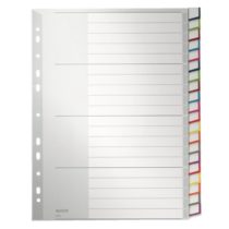 Leitz 12780000 Plastic Index Blank A4 Polypropylene - Grey, 20 Sheets
