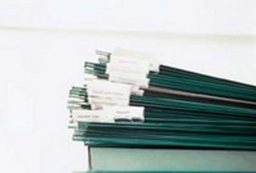 White Box Foolscap Suspension File (Pack of 50), Green