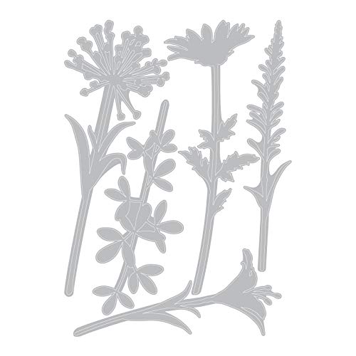 Sizzix Thinlits Die Set 664164, Wildflower Stems #2 by Tim Holtz, 5 Pack, One Size, Paper, Multi-Colour Colour - Image 2