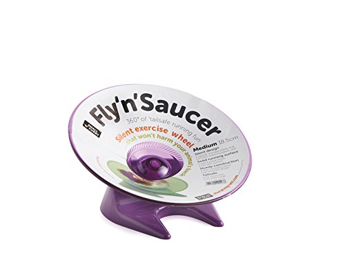 Small-n-Furry Fly n Saucer Wheel, Medium 18.5 cm (Assorted colors - Blue/Purple/Green) - Image 3
