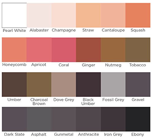 Spectrum Noir Spectrum Aquablend-Essentials, Wood, 24 Count (Pack of 1) - Image 2