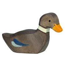 Holztiger Duck Swimming