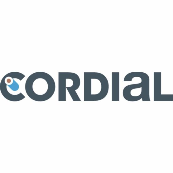 Cordial Intro 3m Straight to Straight Instrument and Guitar Cable - Image 3
