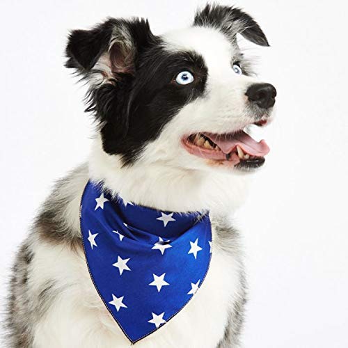 Pet Pooch Boutique Star Bandana for Dog Small/Medium, Blue, Blue Star - Image 2