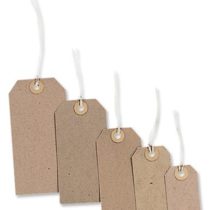 Merit Strung Tag 96x48mm Buff Ref TG8072 [Pack of 1000]