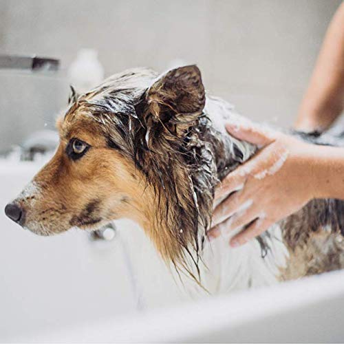 Greenfields Dog Shampoo and Conditioner 400ml, light - Image 4