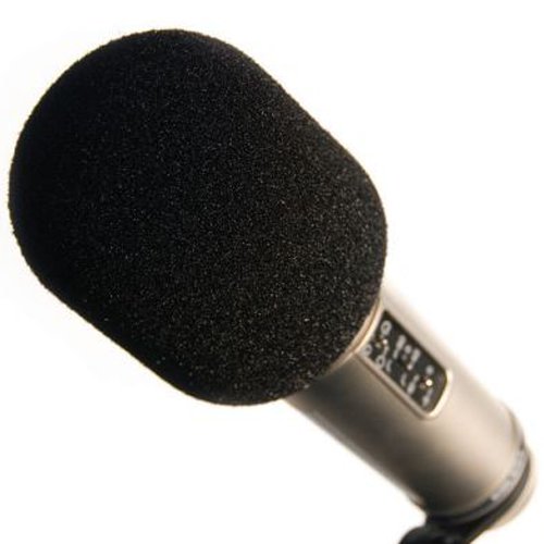 Rdiameter DE WS2 Pop Filter Wind Shield, black, 1 inch - Image 2