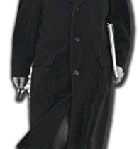 Star Cutouts Cut Out of Albert Einstein