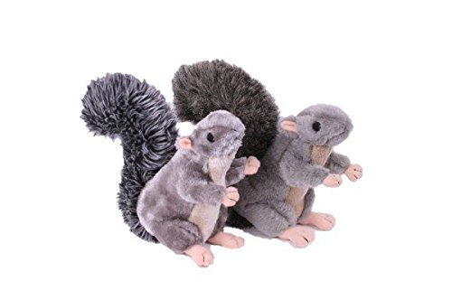 Petface Cyril The Squirrel Plush Dog Toy with Built-In Squeaker (Pack of 1), Grey & Brown