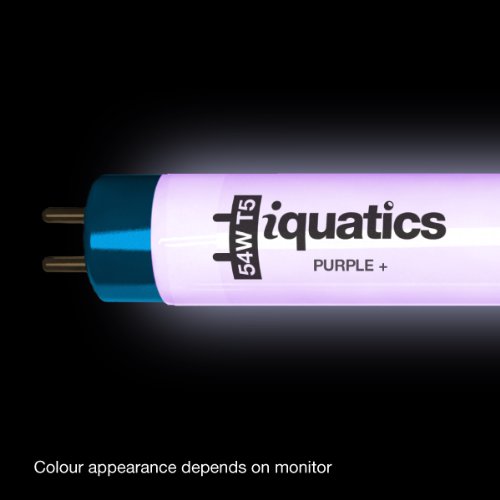 iQuatics Aquarium Tropical Fish Tank Fluorescent Light Bulb T5 (3 Pack), Purple, 39w 850mm 34" - Image 2