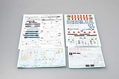 Trumpeter 1: 32 - Sukhoi Su-30MKK Flanker G, Various, Mittel