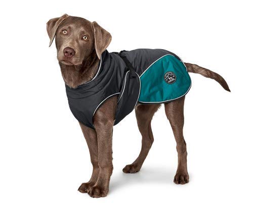 HUNTER Dog Coat Uppsala Cozy, 50 cm anthracite/teal, Medium - Image 2