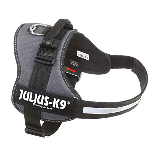 JULIUS-K9Powerharness, Size: 2XL/3, Anthracite - Image 3