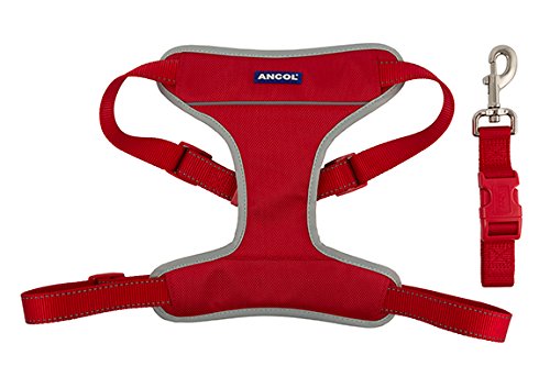 Other Nylon Travel & Exercise Harness Red Medium 42-66cm, Clear