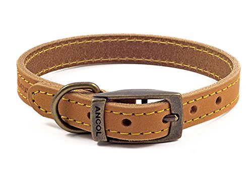 Ancol Timberwolf Premium Leather Dog Collar, Comfortable Durable Pet Training Accessory, Mustard Bridle Leather