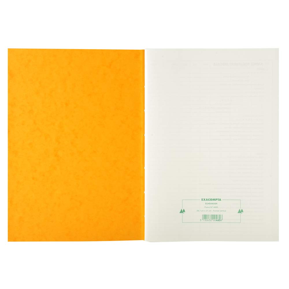 Exacompta, Ref 460E, Timetable Planner (72 Pages), A4 (297 x 210mm) in Size, 12 Monthly Sections, 110gsm Paper - Image 2