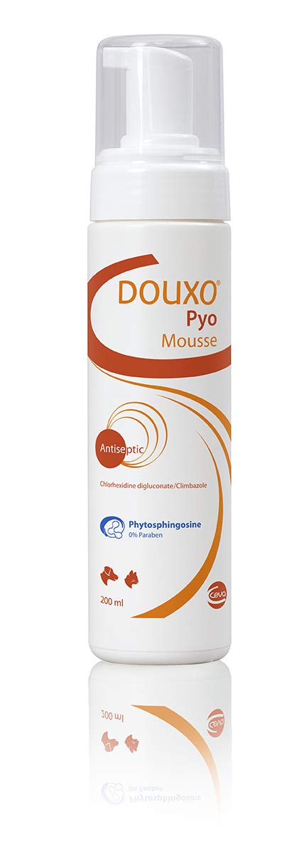 Douxo Pyo Mousse, vet recommended antibacterial/antifungal dog/cat dry shampoo 200ml, Clear, 200 ml
