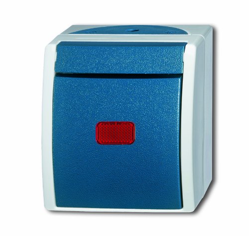 Busch-Jaeger 2601/6 SKW-53 Control Switch, n.a