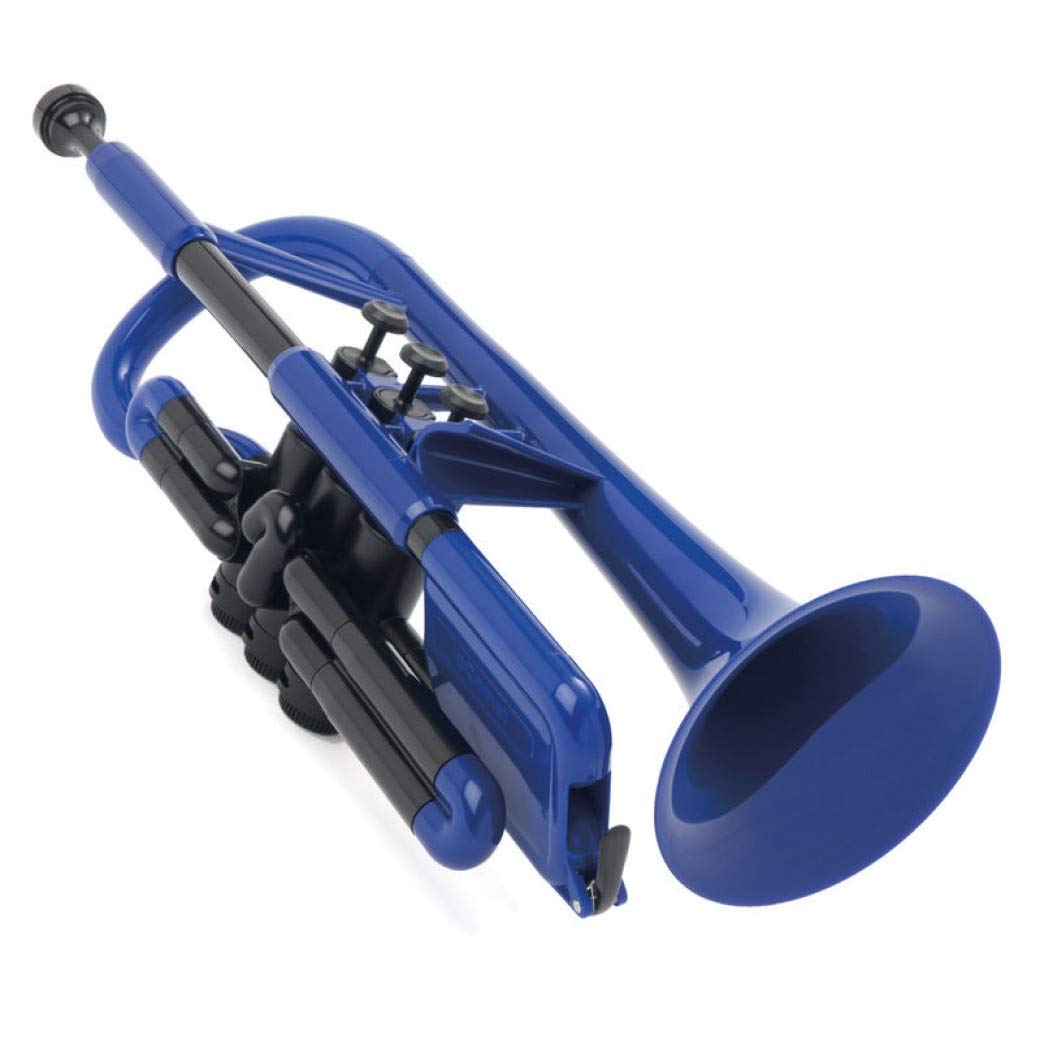 pCornet Cornet blue with bag