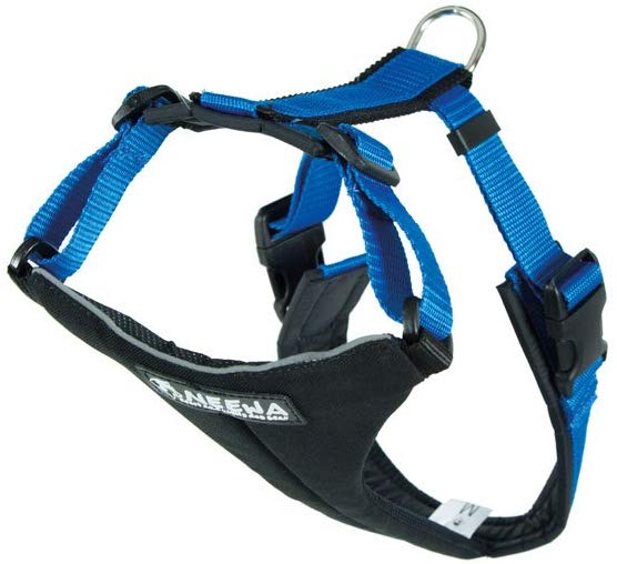 Neewa Bib Running, M, Blue, M (1 Unità )