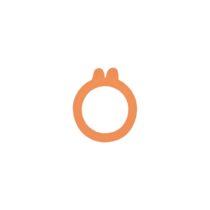 The Perfect 8012382.0 Washer Seal with 2 Plastic Orange Diameter 85 mm Pack of 10