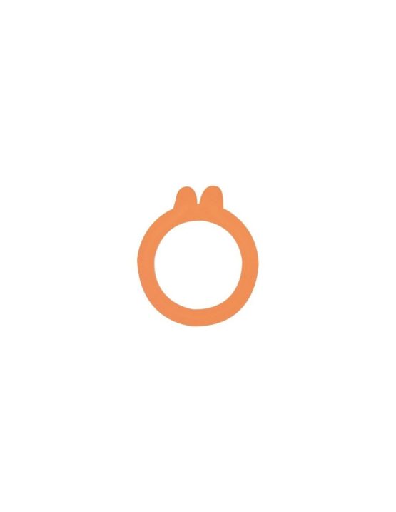 The Perfect 8012382.0 Washer Seal with 2 Plastic Orange Diameter 85 mm Pack of 10