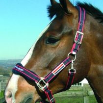 John Whitaker WHCS Head Collars