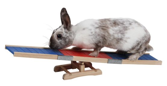 Kerbl Agility Rocker, 60 x 18 x 12 cm - Image 3