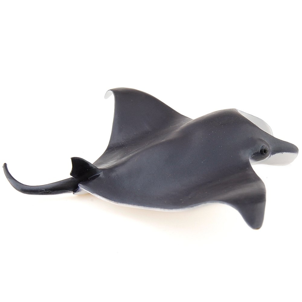 Papo Figurine, 56006 Manta Ray Marine Life, Multicolour, 24L x 8W x 31H millimetres, Papo 56006 Manta Ray Marine Life - Image 4