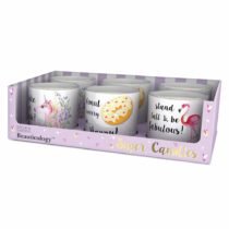 Baylis & Harding Beauticology Assorted 2 Wick Candle, 1 Piece