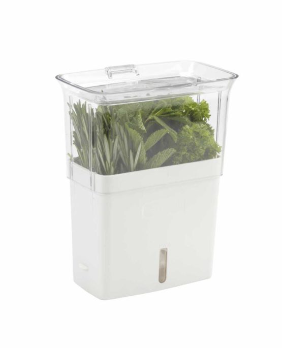 Cole & Mason H105159 Tealby Fresh Cut Herb Keeper | Herb Pot/Herb Storage/Herb Saver/Herb Box | Acrylic | (H) 230mm x (W) 185mm x (D) 120mm | Includes Removable Dividers | 2 Year Guarantee