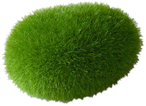 Aqua Della Moss Ball Aquarium Decoration, 6 x 4.5 x 3.5 cm