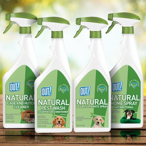 OUT! Natural Flea, Tick and Mite spray for Dogs 500 ml, 500 ml (Pack of 1) - Image 4