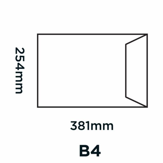 Blake Purely Everyday 381 x 254 mm 115 gsm Pocket Self Seal Envelopes (12890) Manilla - Pack of 250 - Image 2