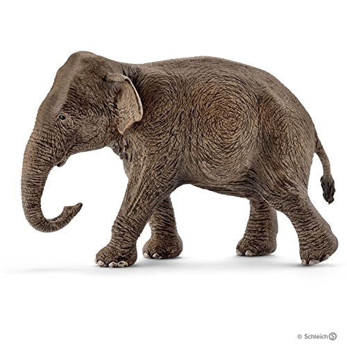 SCHLEICH 14753 Asian elephant, female Wild Life Toy Figurine for children aged 3-8 Years, Black, 14 cm x 14 cm x 8 cm