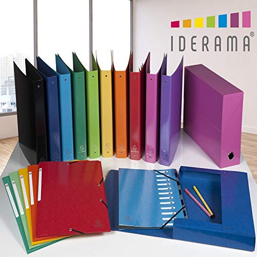 Exacompta, Ref 53929E, Iderama Collection, Harmonika Multipart File, 245 x 320mm in Size, Suitable for A4 Documents - Image 2